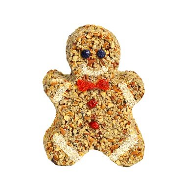Dash – Gingerbread Man – Available 9/1