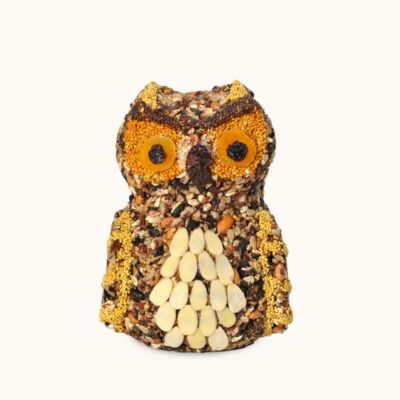 Screech Owl Is Back &#8211; Available Until 9/1