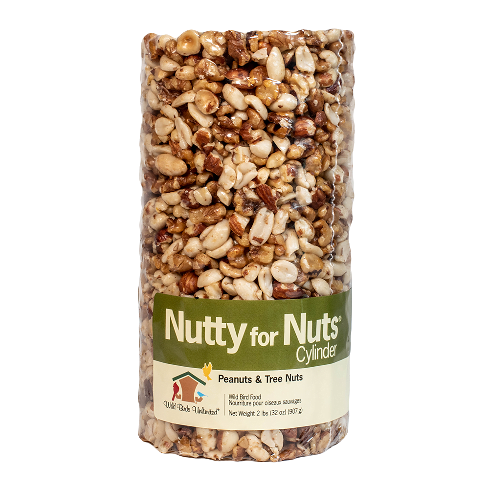 Nutty For Nuts Small Cylinder