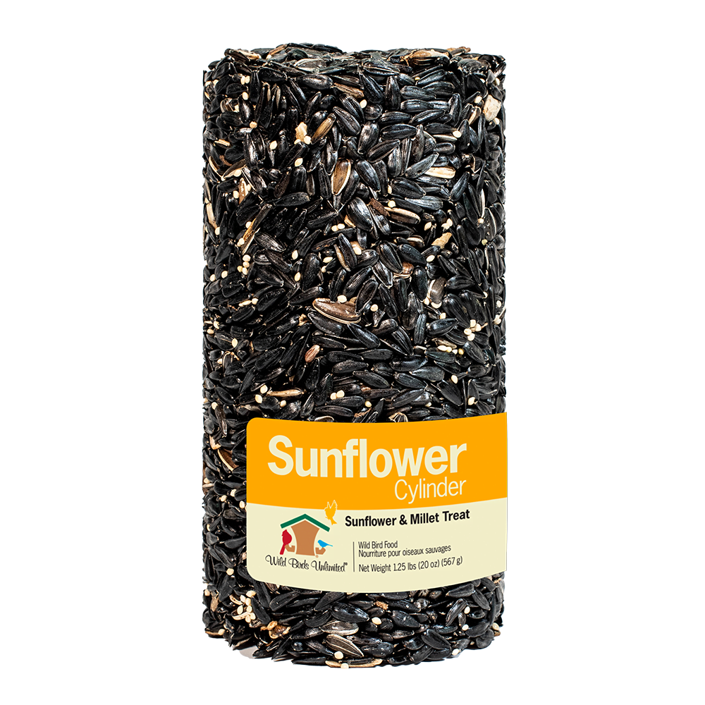 Sunflower Cylinder Small