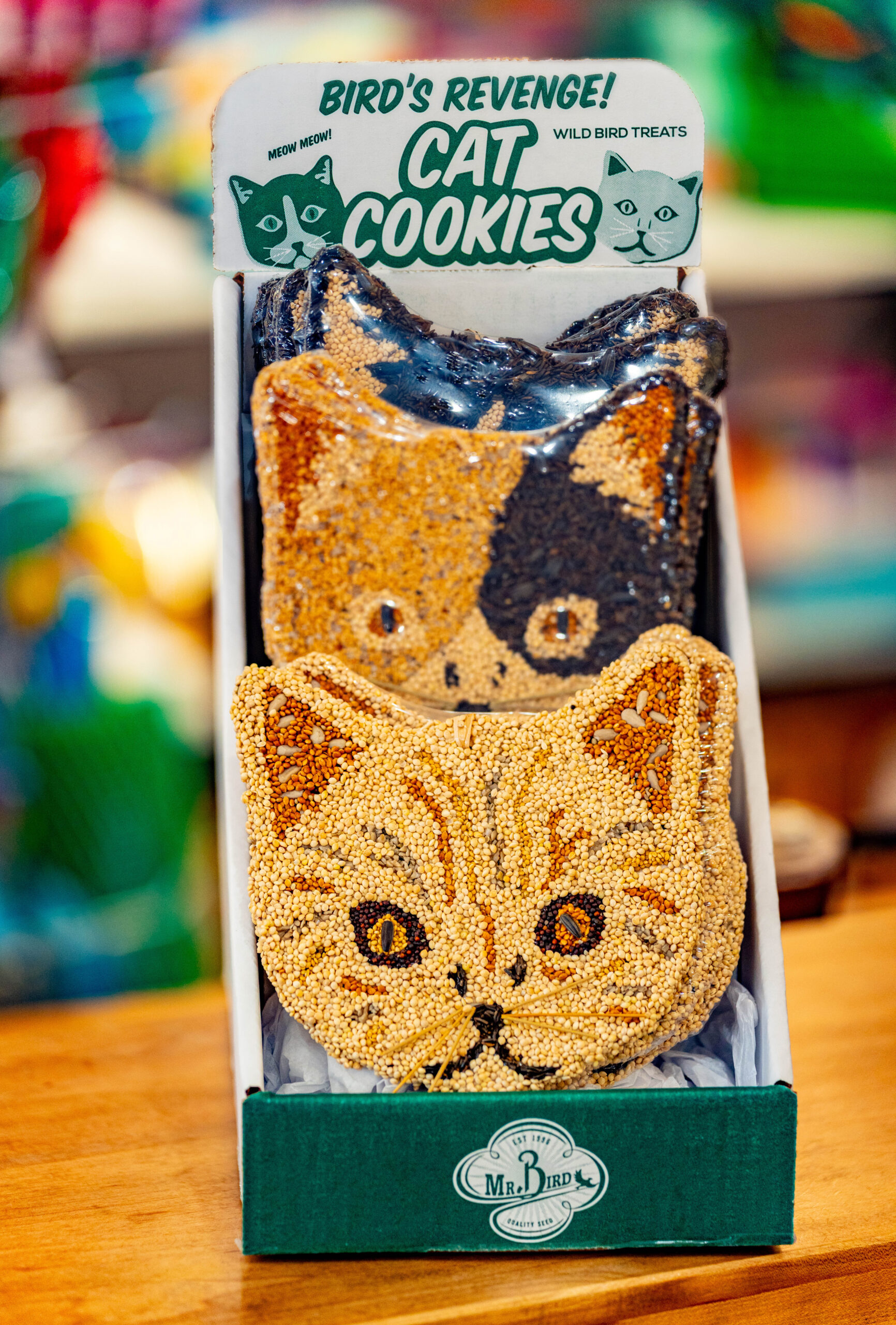 cat-cookies-regualr