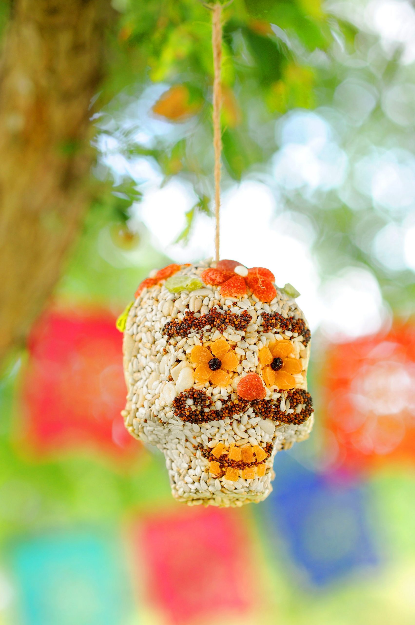 Seed Skulls - Image 4