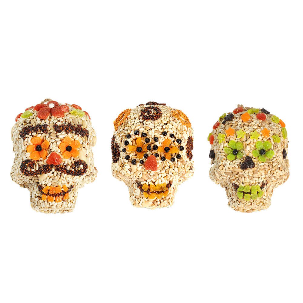 Seed Skulls - Image 7
