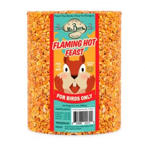 Flaming Hot Feast Cylinder - Large - Better Formula!