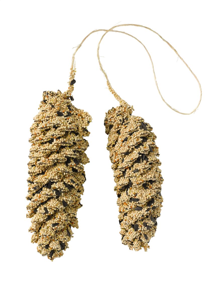 Pine Cone Pair - Image 8