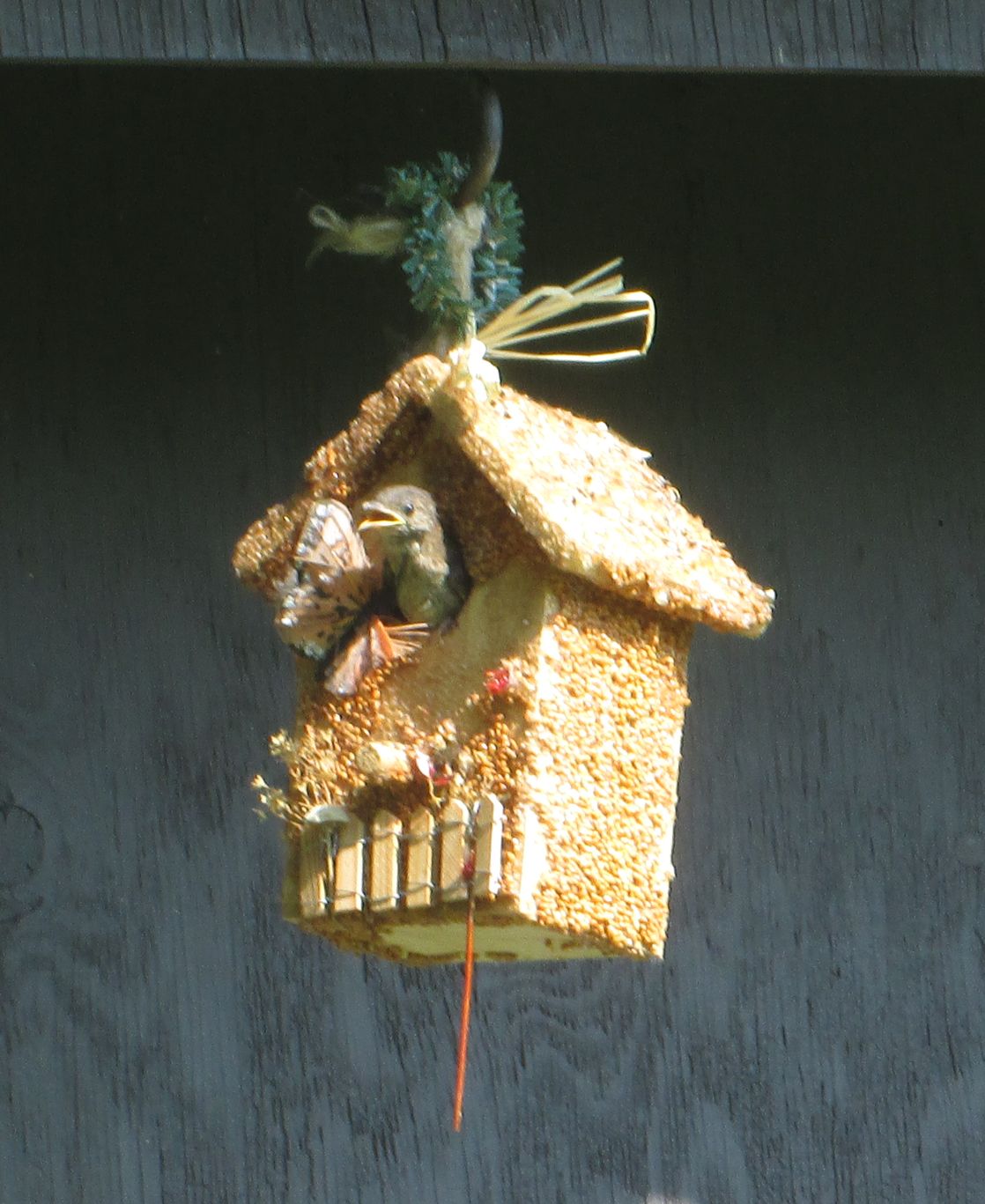 Birdie Cottage All Season - Image 7