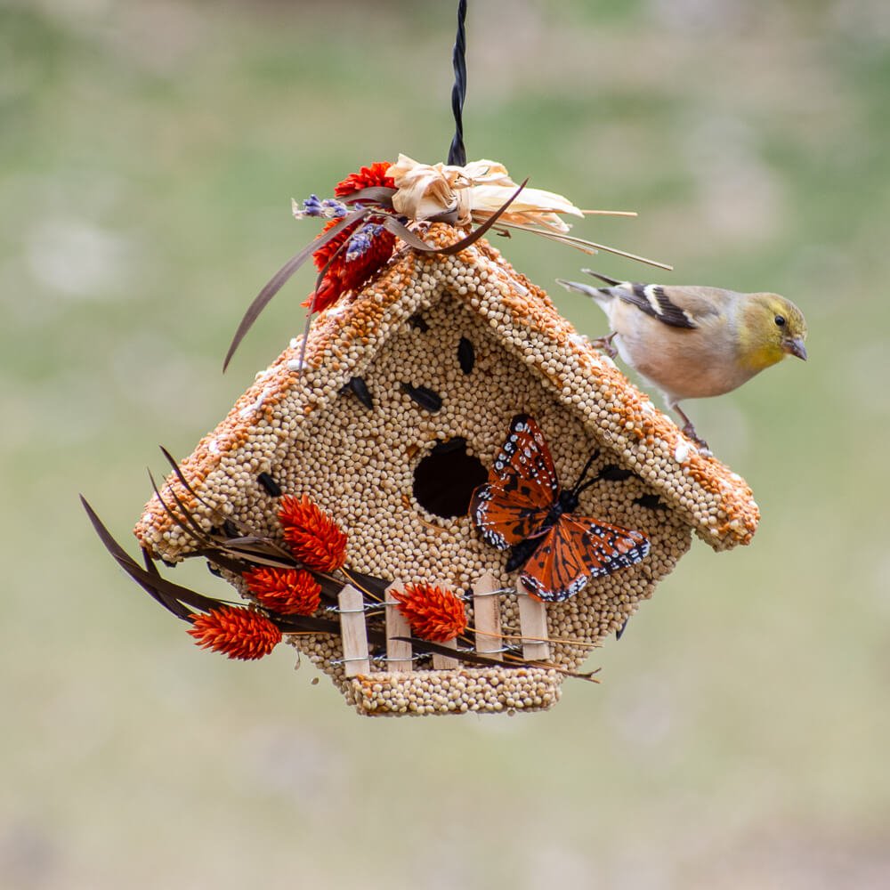 All Season Wren Casita - Image 3