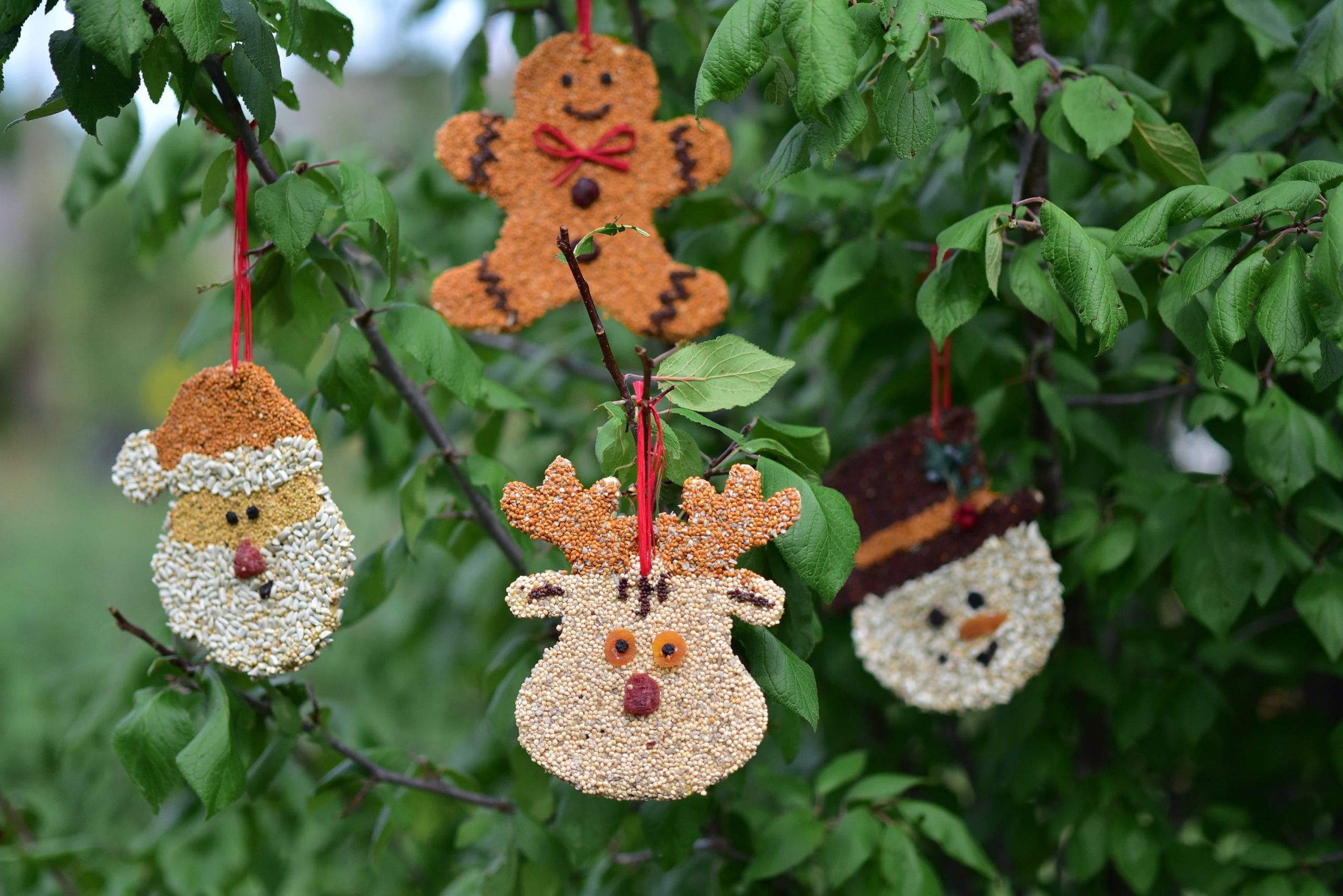 Gingerbread Man Christmas Cookie - Image 5