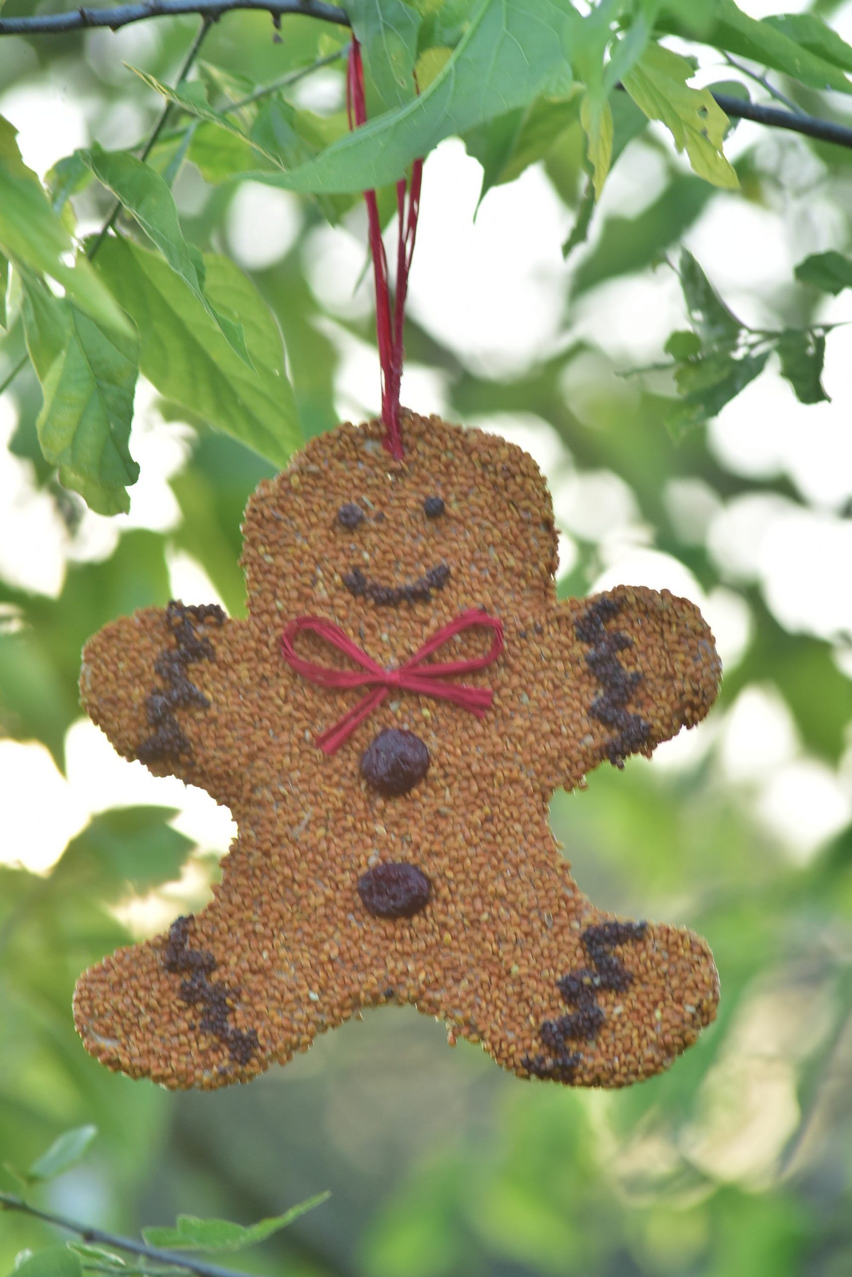 Gingerbread Man Christmas Cookie - Image 4