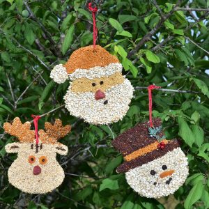 Christmas Cookie Assortment