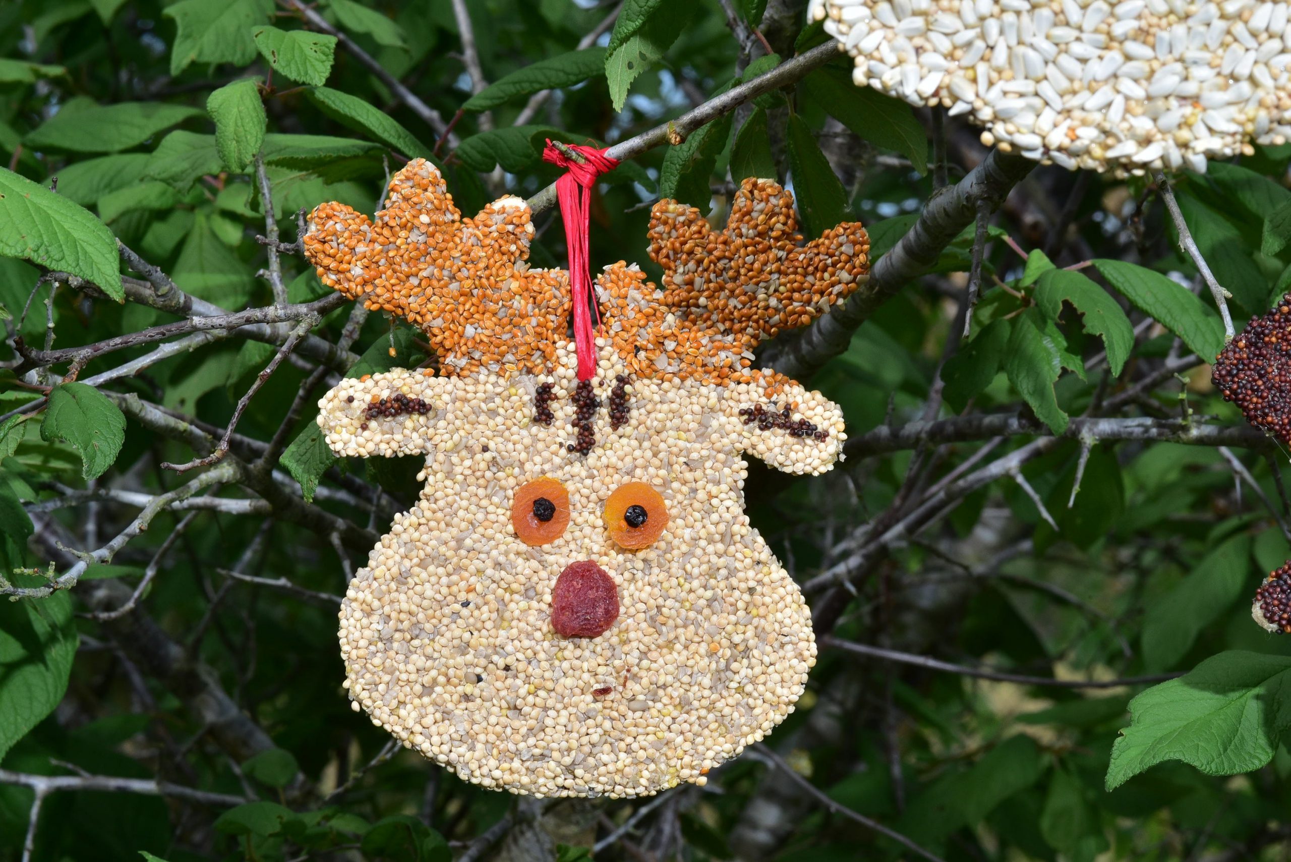 Christmas Cookie Assortment - Image 9