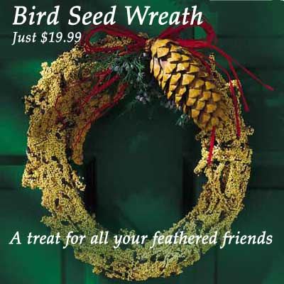 Rustic Wreath 10" - Image 10