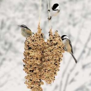 Pine Cone Pair