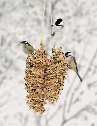 Pine Cone Pair