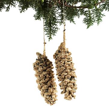 Pine Cone Pair - Image 5