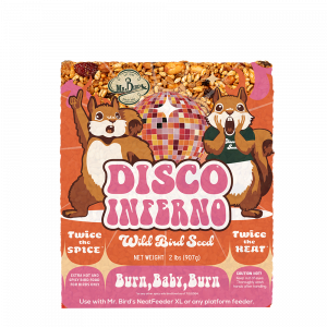 Disco Inferno Large Cake