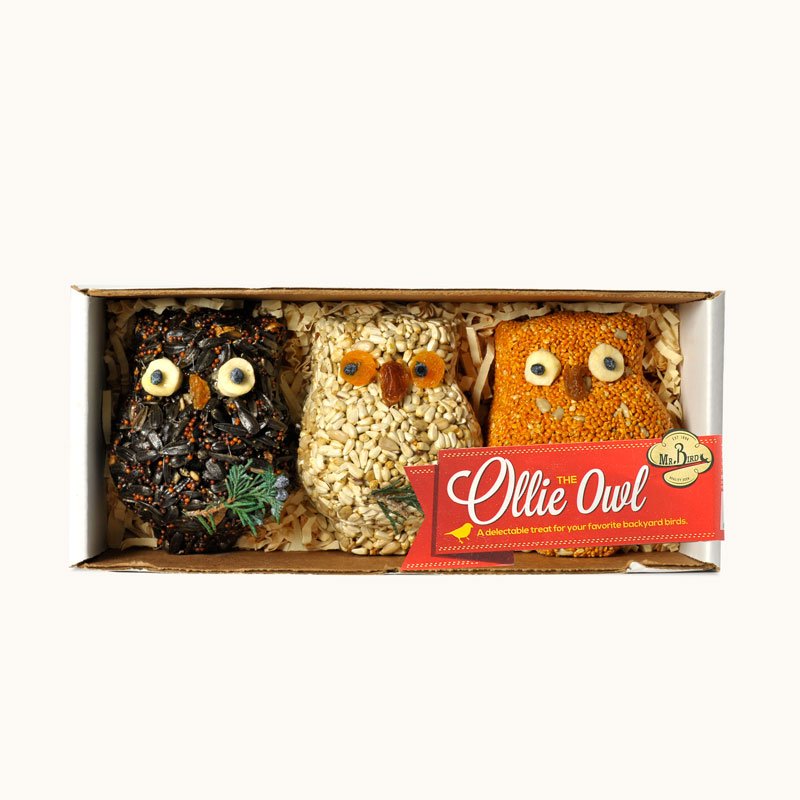 Ollie the Owl - 3 Pack - Image 2