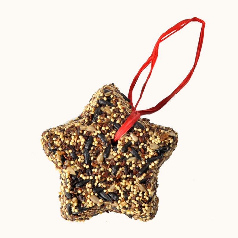 Little Star - Image 2