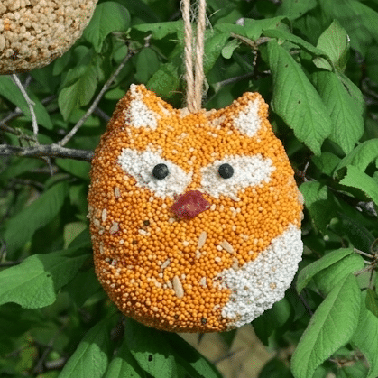 Woodland Friends - Fox