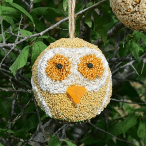 Woodland Friends - Owl