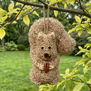 Nutzo Squirrel