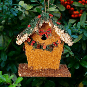 Birdie's B&B Wren