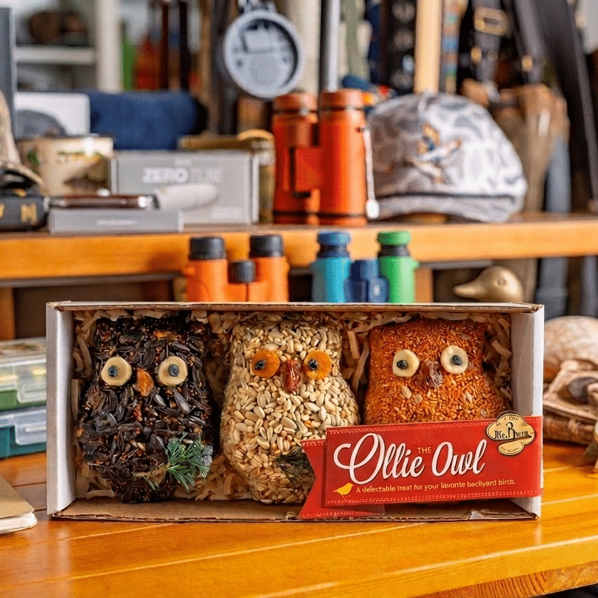 Ollie the Owl - 3 Pack