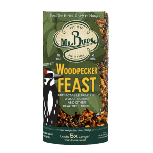 Woodpecker Feast Cylinder  - Small