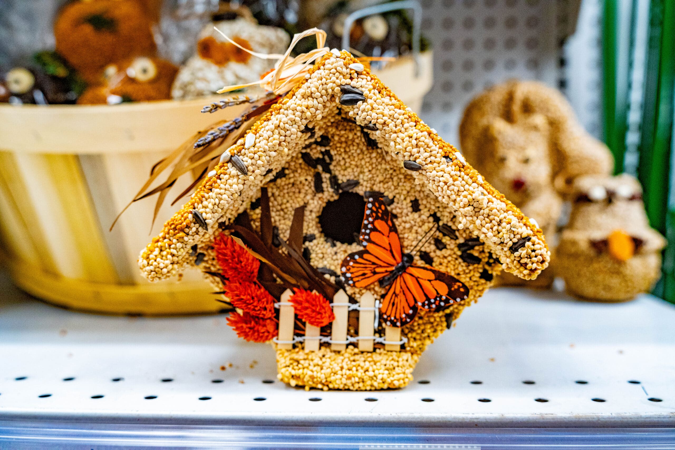 All Season Wren Casita - Image 6